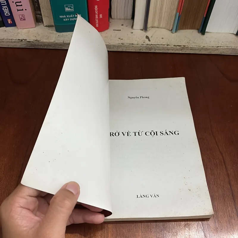 Tựa sách: Trở về từ cõi sáng - Nguyên Phong 414026