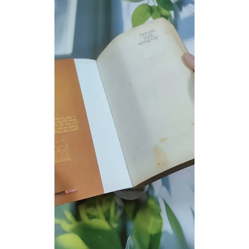 Nợ Em Một Vòng Tay 744713