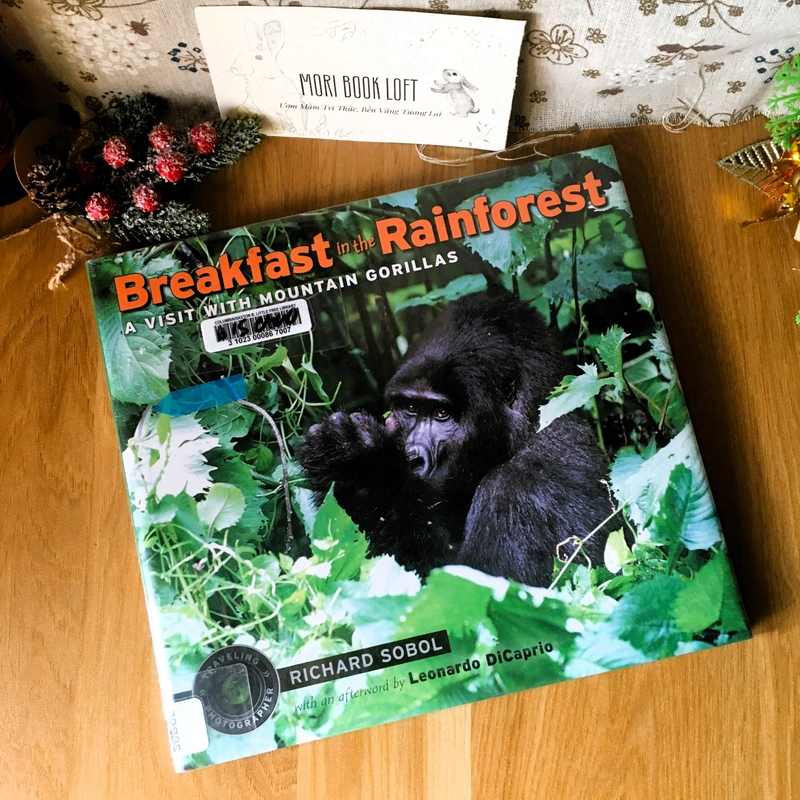 Sách tranh tiếng anh Breakfast in the Rainforest: A Visit with Mountain Gorillas, Used 476860