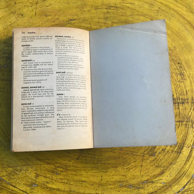 TIMES DICTIONARY OF CONTEMPORARY SLANG 736658