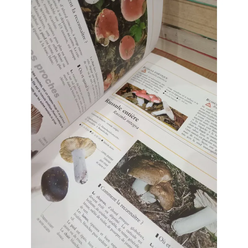 Grand guide encyclopédique des Champignons 712093