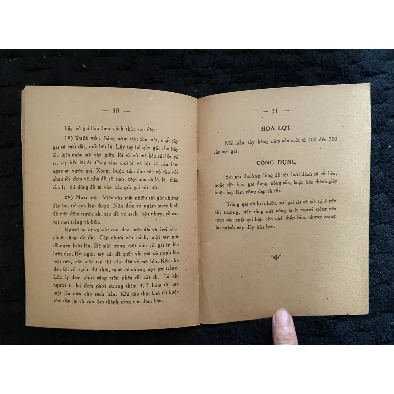 Cách trồng bông, vải và gai 1002902