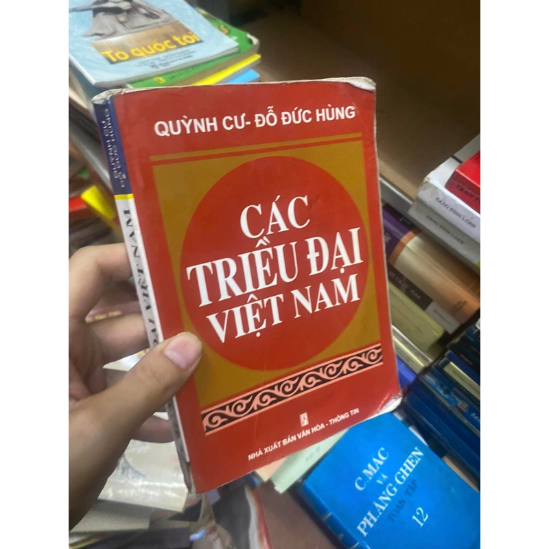 Sách Các triều đại Việt Nam - Quỳnh Cư, Đỗ Đức Hùng 307961