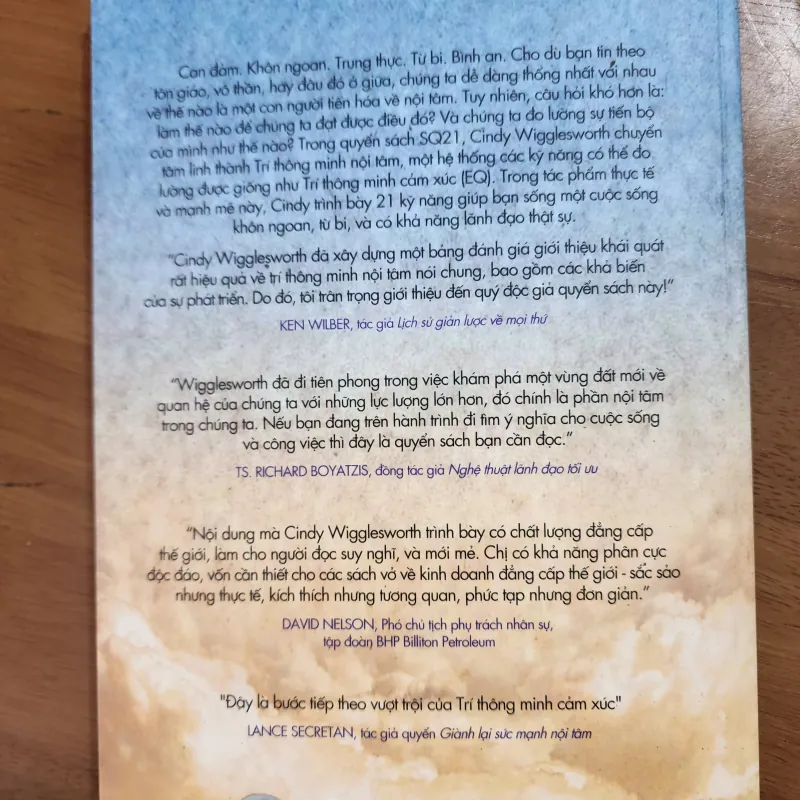 21 kỹ năng trí thông minh nội tâm | cindy wigglesworth 977675