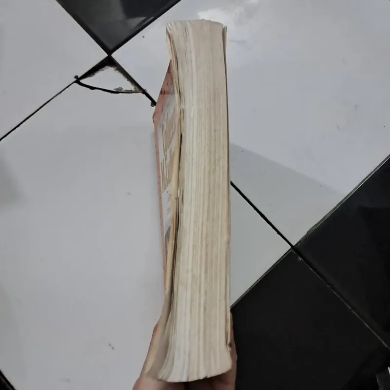 Tiếng chim hót trong bụi mận gai 1027362