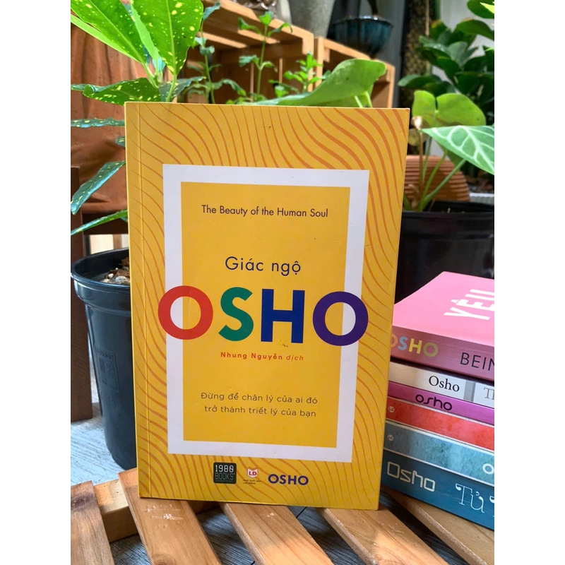 Giác ngộ - OSHO 541334