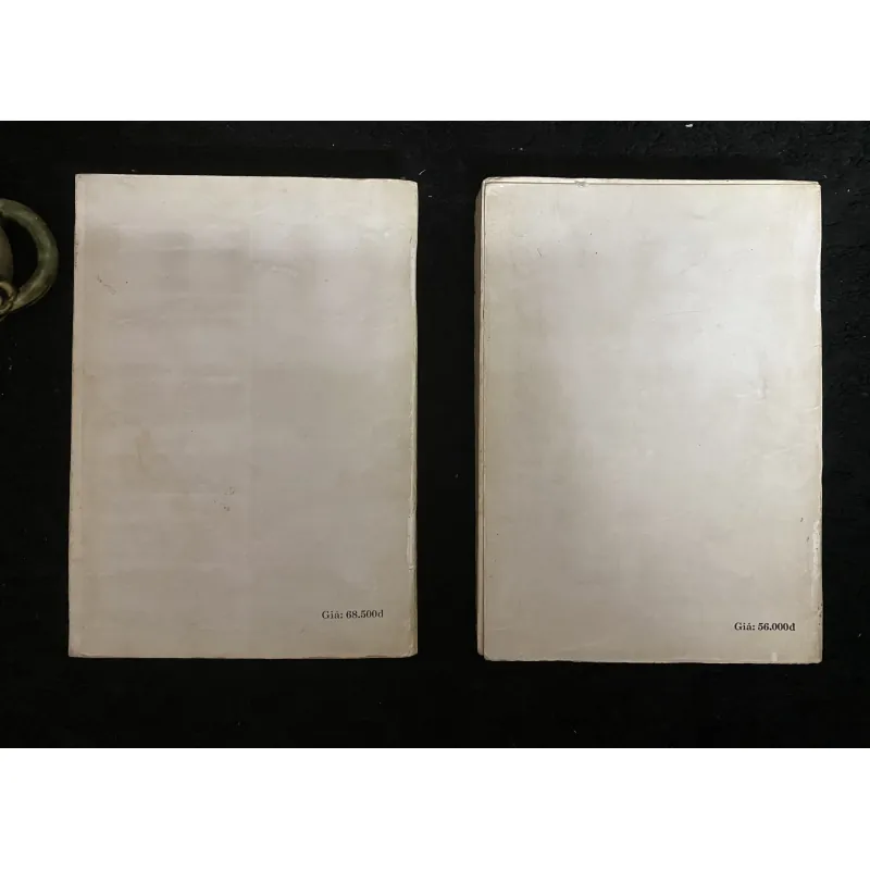 Lịch sử Văn học Pháp - Thế kỷ XVIII và Thế kỷ XIX (Tập II và III) 1029890