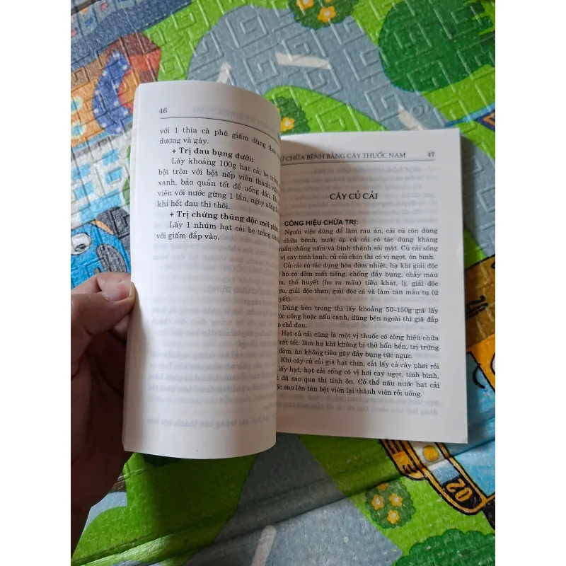 Tự Chữa Bệnh Bằng Cây Thuốc Nam 1021314