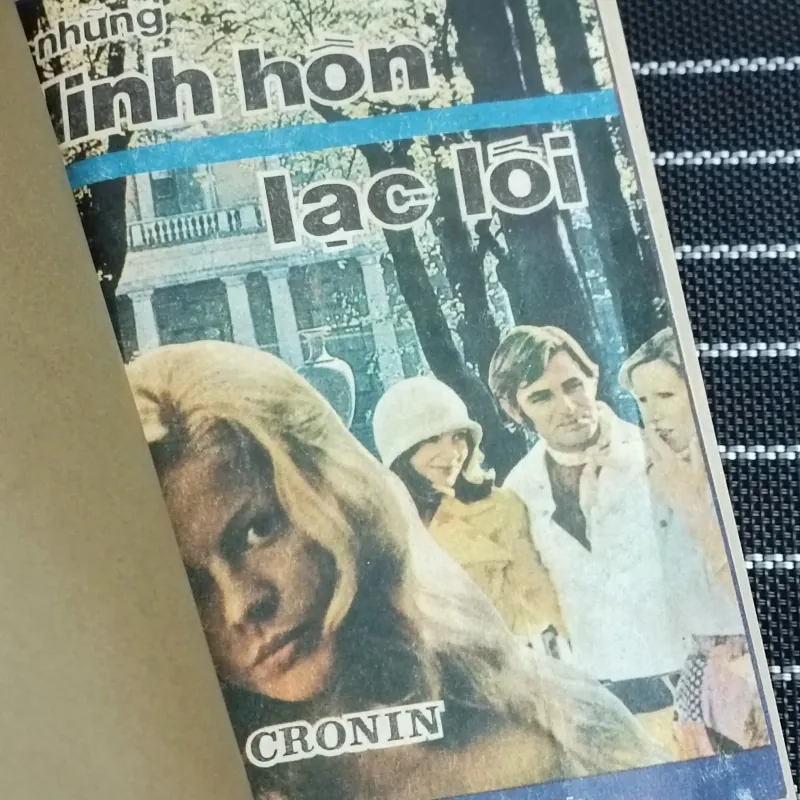 Những Linh hồn lạc lối (A. J. Cronin) 779008