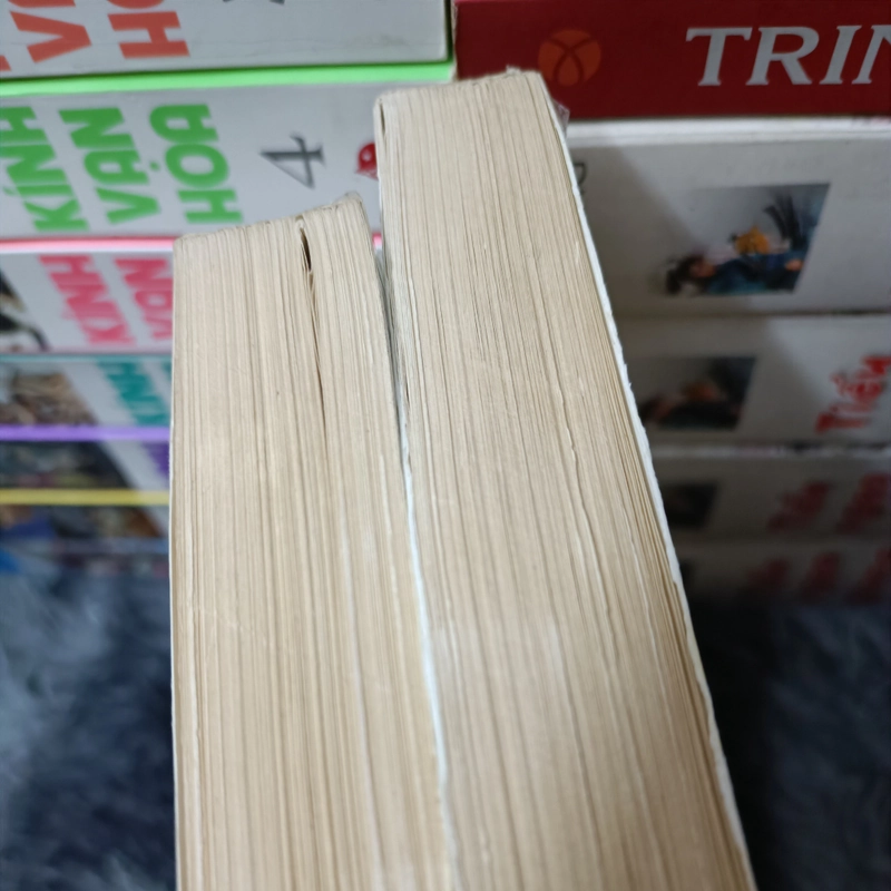 Giới nữ (Simonede Beauvoir) 446292