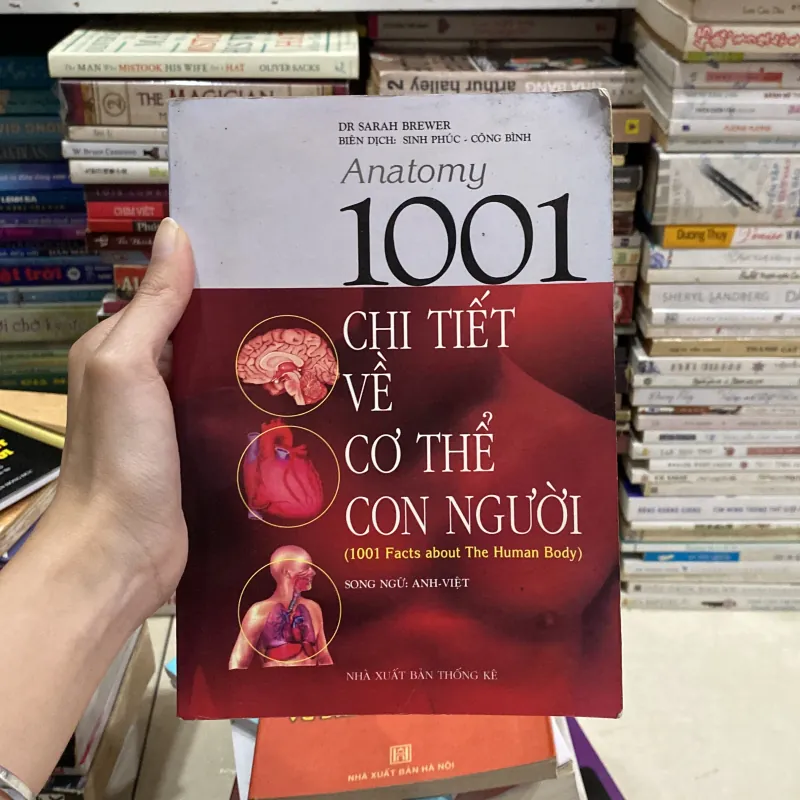 1001 Chi Tiết Về Cơ Thể Con Người♟️ 762448
