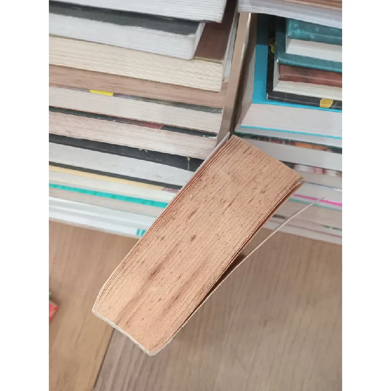 Assassin's creed: Revelations - Oliver Bowden 708235