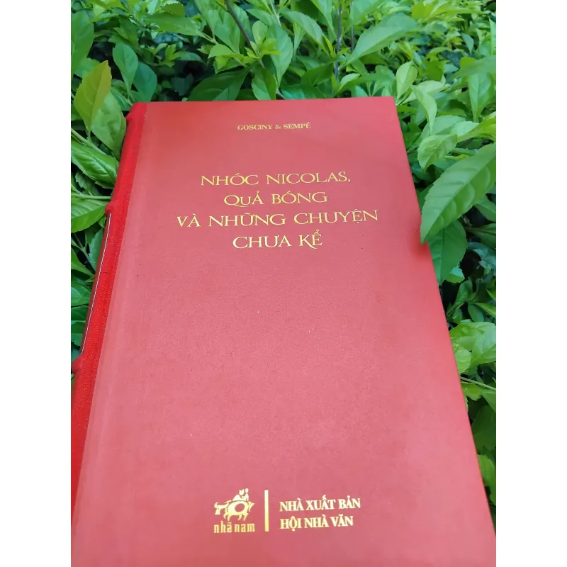 Nhóc Nicolas, quả bóng và những chuyện chưa kể 936598