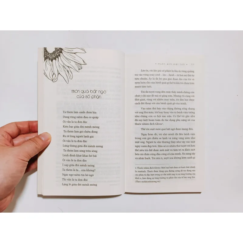 Muôn Ánh Mặt Trời - Hoàng Thị Diệu Thuần 926594