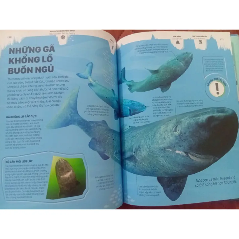 Băng - Những Câu Chuyện Ly Kỳ Từ Một Thế Giới Đang Dần Biến Mất 1009870