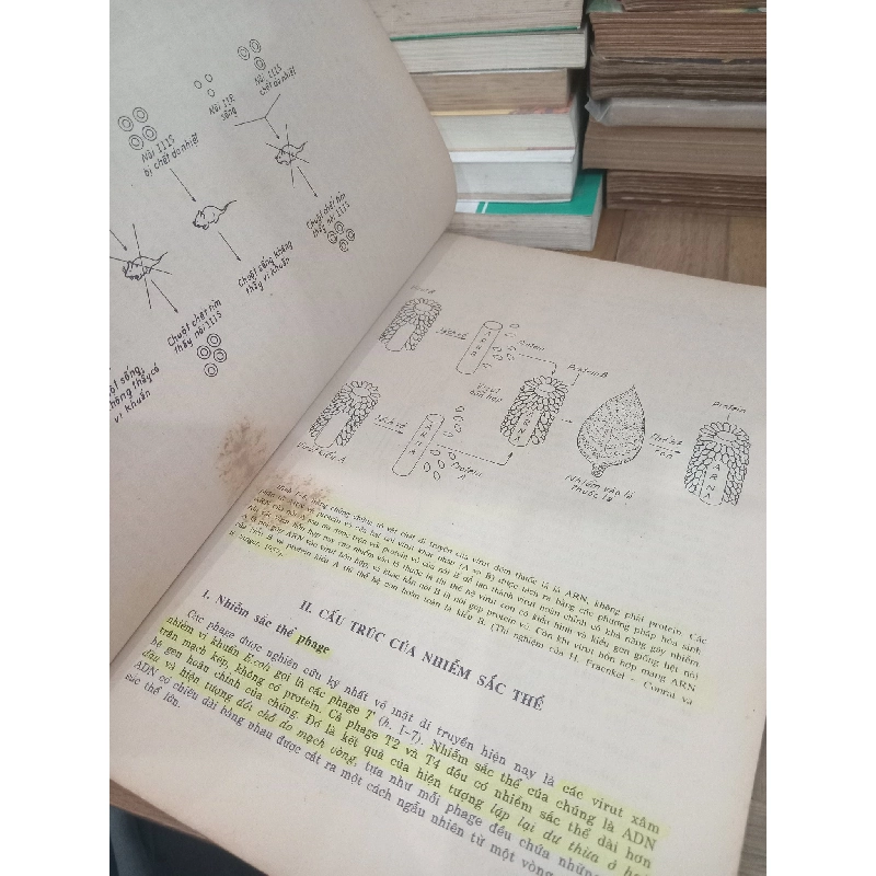 Cơ sở di truyền học - Lê Đình Lương, Phan Cự Nhân 958231