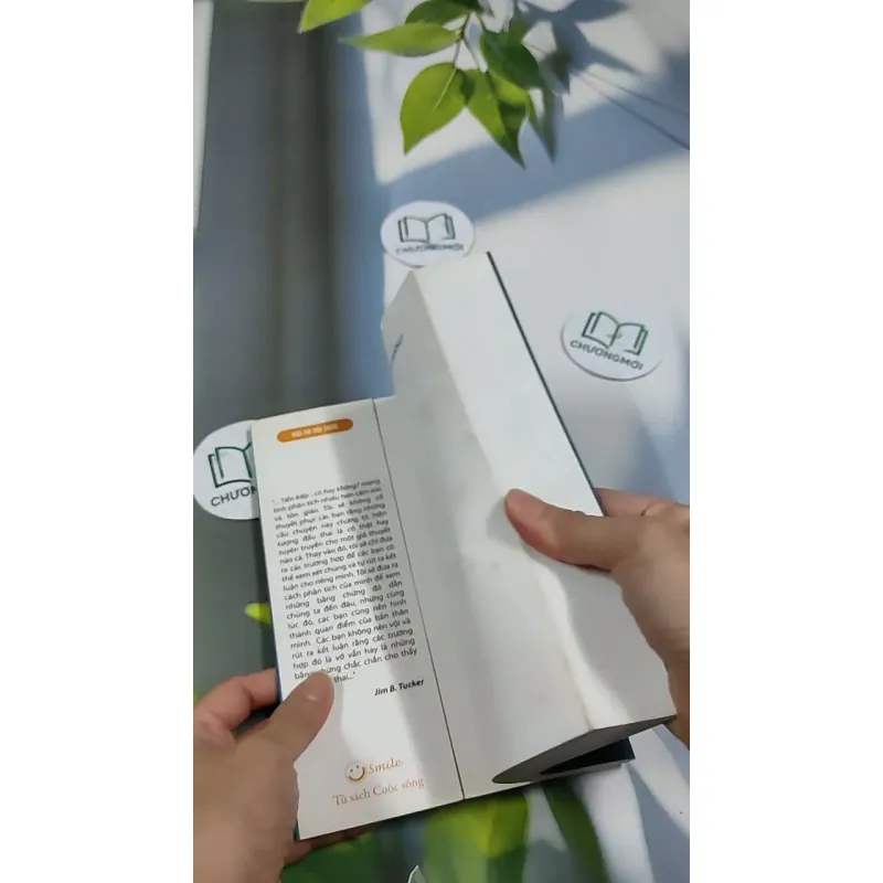 Tiền Kiếp - Có Hay Không? 705673