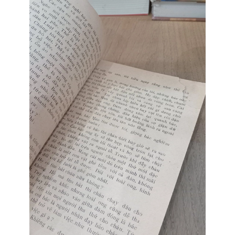 Cuộc phiêu lưu kỳ lạ của ong vàng - Vũ Duy Thông 735438