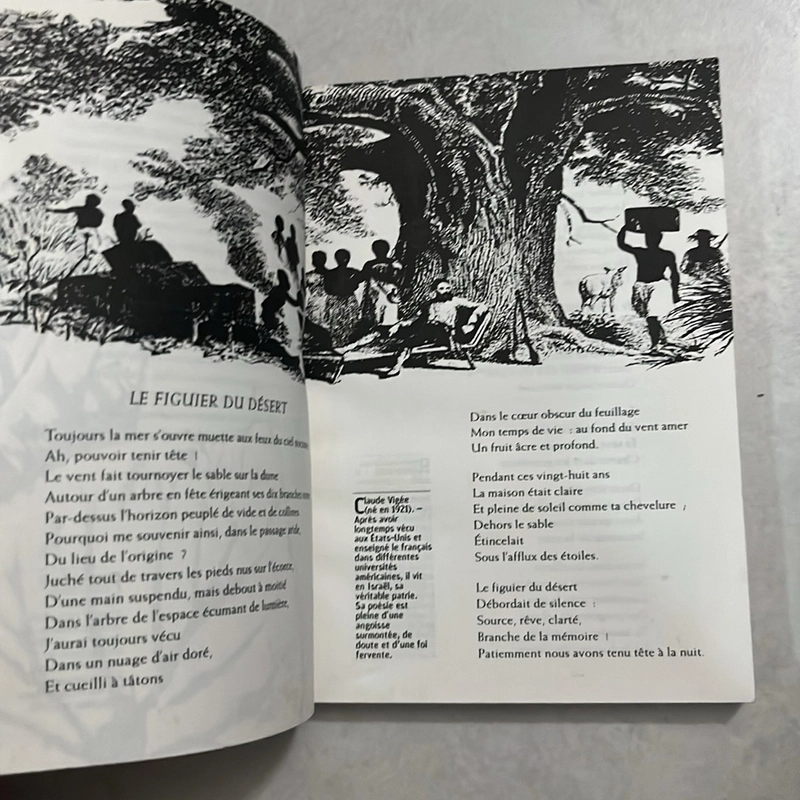 L’arbre en poésie 503662