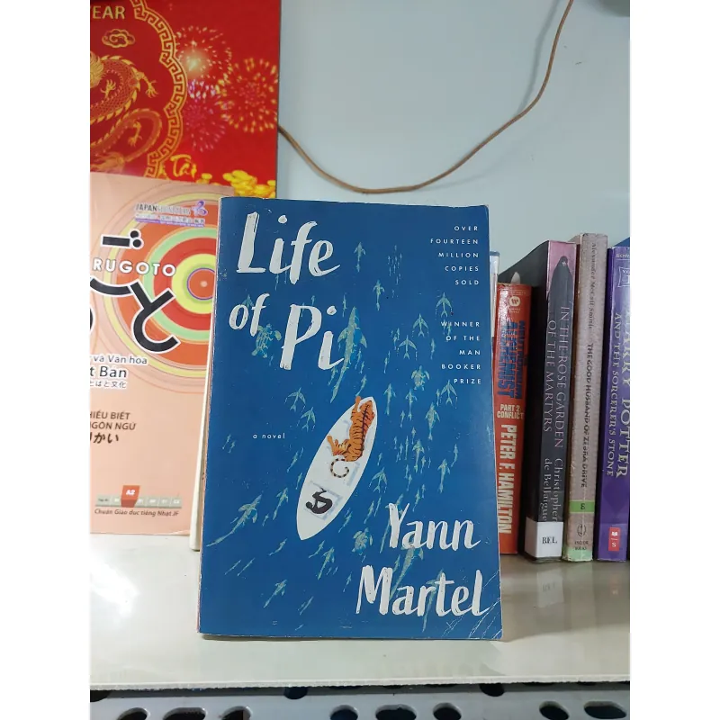 LIFE OF PI - CUỘC ĐỜI CỦA PI 931454