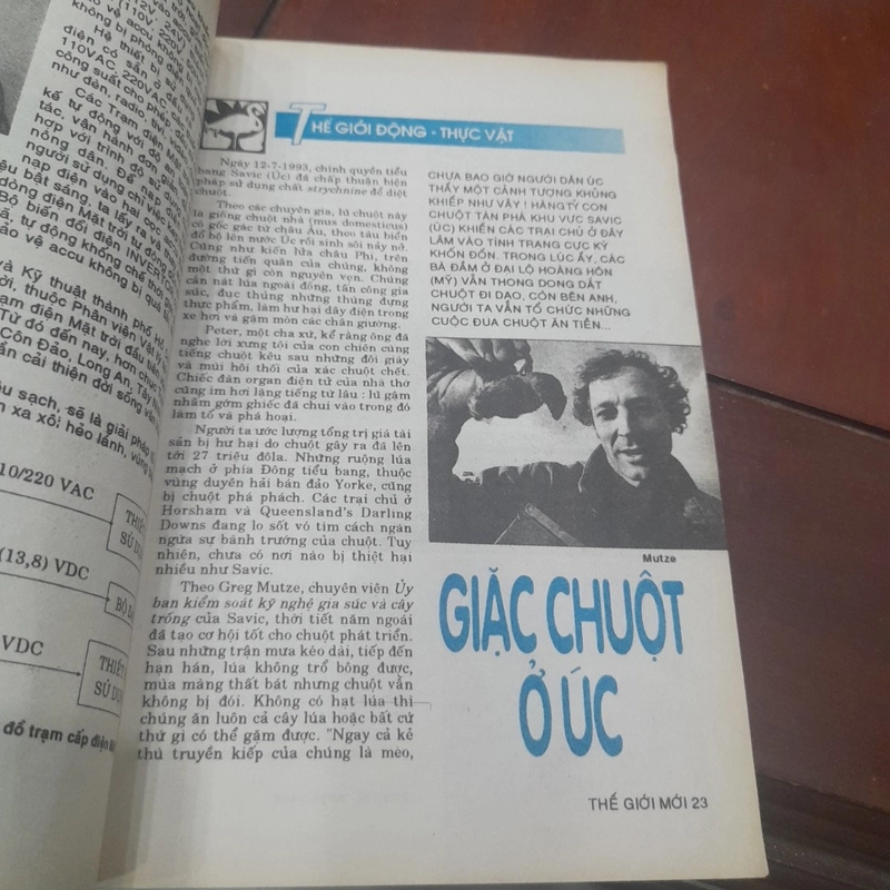 THẾ GIỚI MỚI số 69 năm 1993 444776