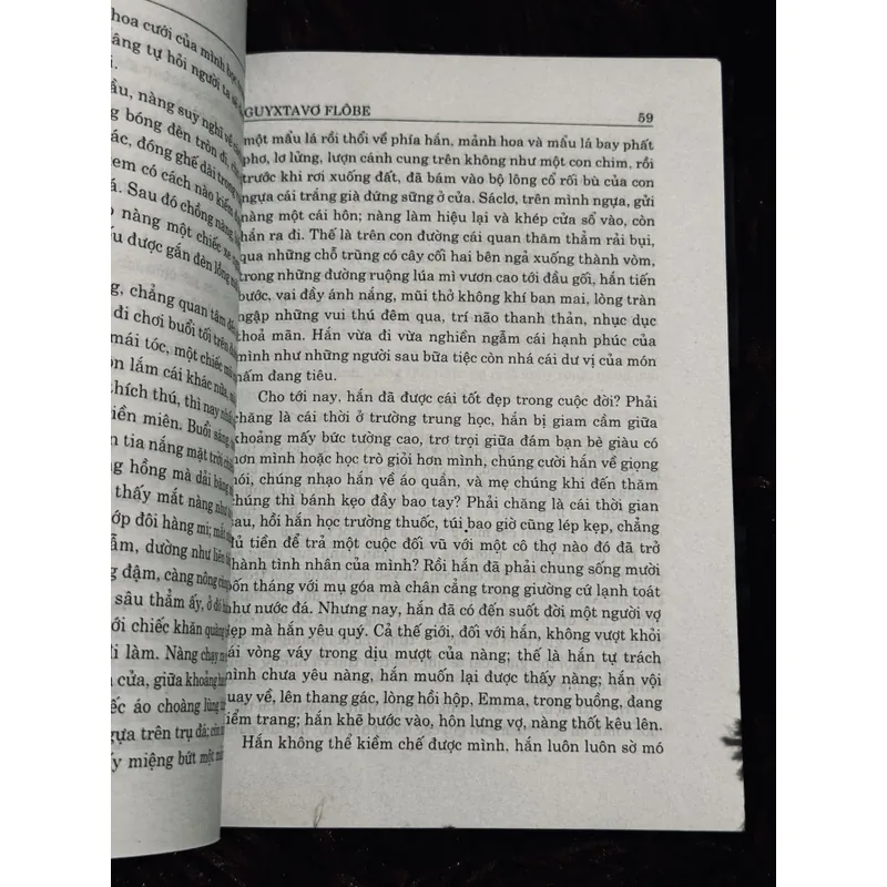 Bà Bovary (bìa cứng) 737310