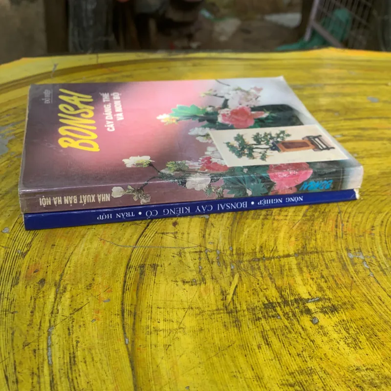  COMBO BONSAI CÂY DÁNG, THẾ VÀ NON BỘ & BONSAI CÂY KIỂNG CỔ 752666