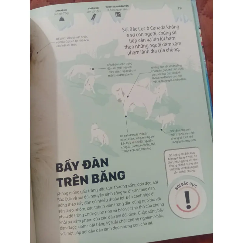 Băng - Những Câu Chuyện Ly Kỳ Từ Một Thế Giới Đang Dần Biến Mất 1009870