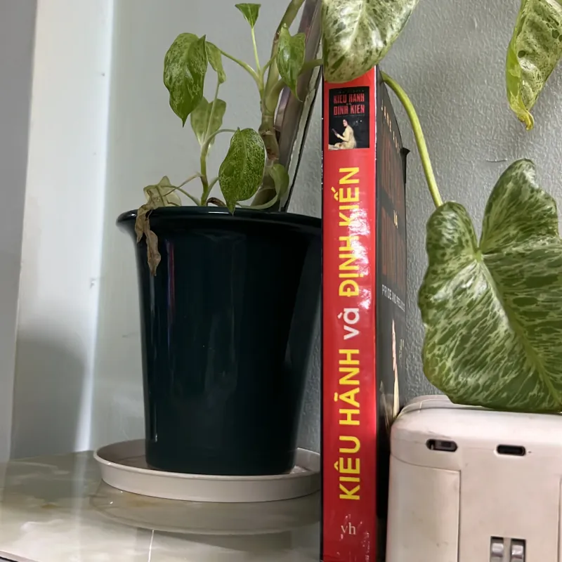 Kiêu hãnh và định kiến 746456