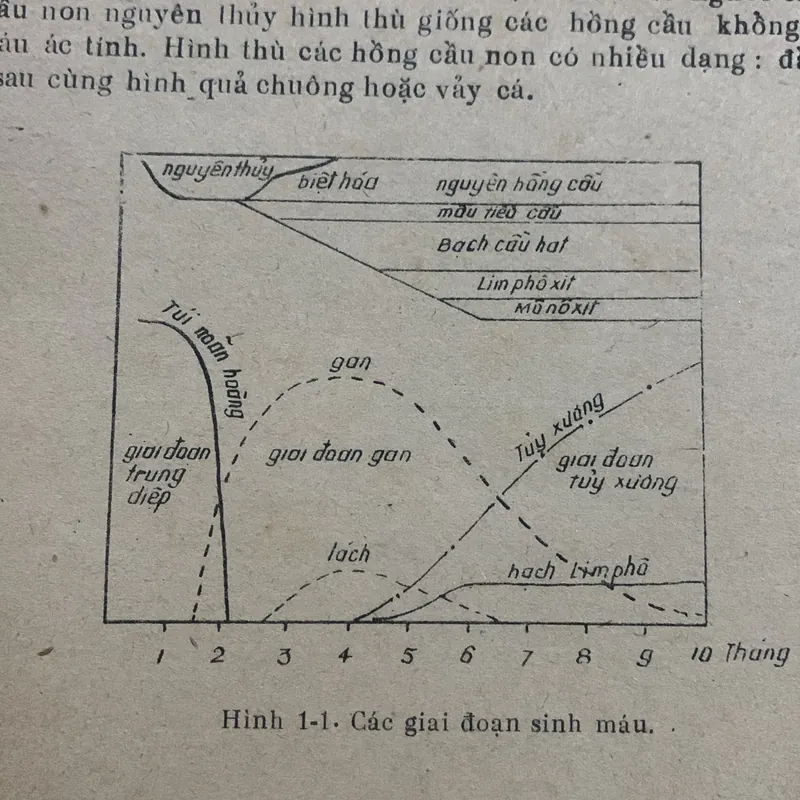 Huyết học, tập 1-2, Nhà xuất bản Y học 709174