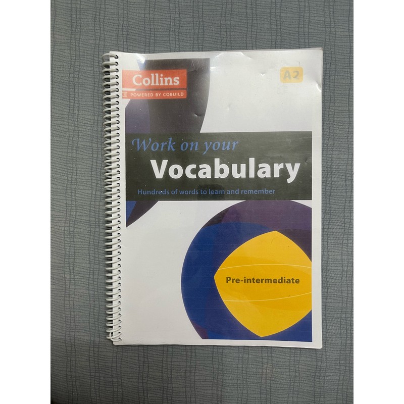 Work on your Vocabulary A2 109870