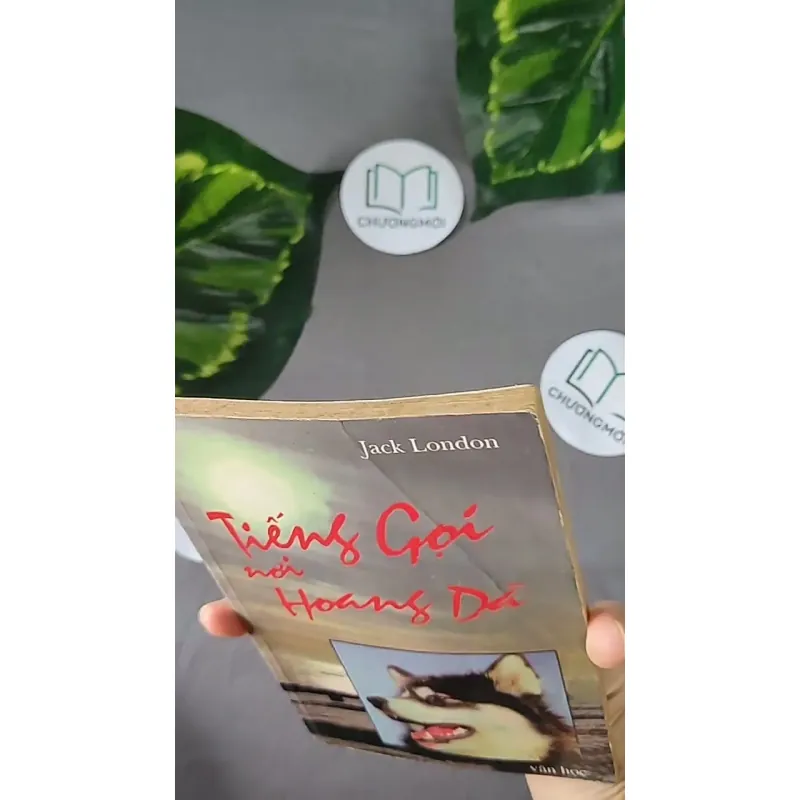 Tiếng Gọi Nơi Hoang Dã (1996) - Jack London 604594