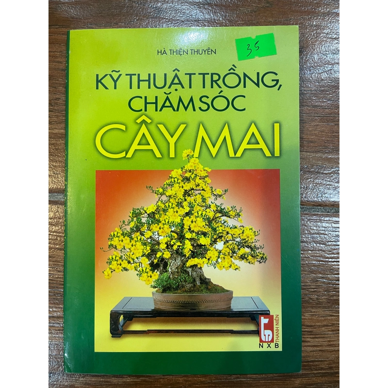 Kỹ thuật trồng chăm sóc cây mai (k1) 334850