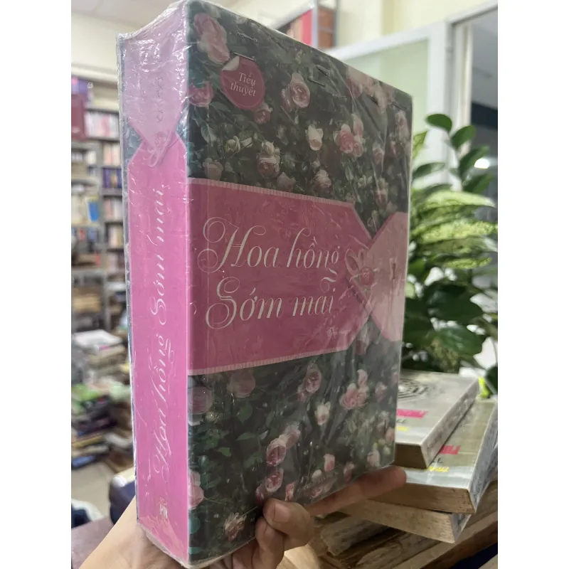 HOA HỒNG SỚM MAI - LÂM ĐỊCH NHI 1010267