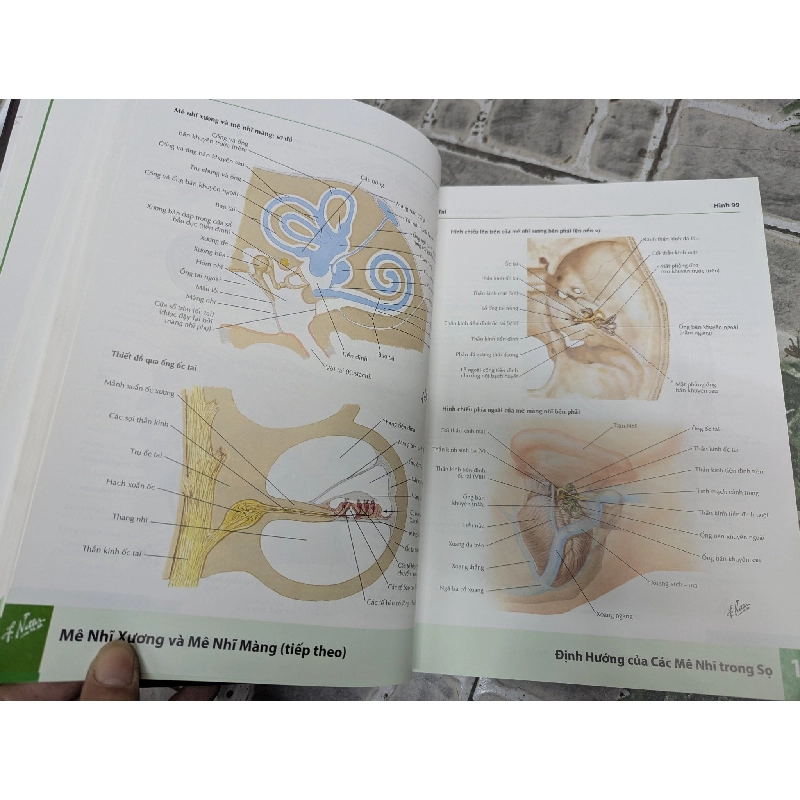 Atlas Giải Phẫu Người - Frank H.Netter. MD 360688