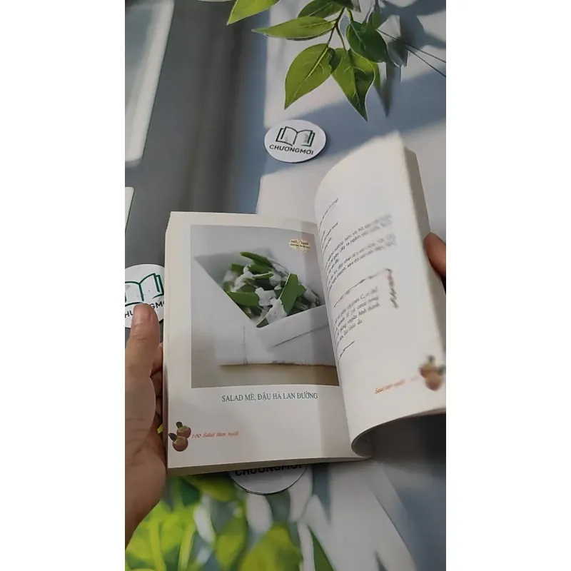 Salad Thon Người - Salad & Những Thực Phẩm Ăn Không Sợ Mập - Vũ Mai Ly & Nguyễn Xuân Quy 727252