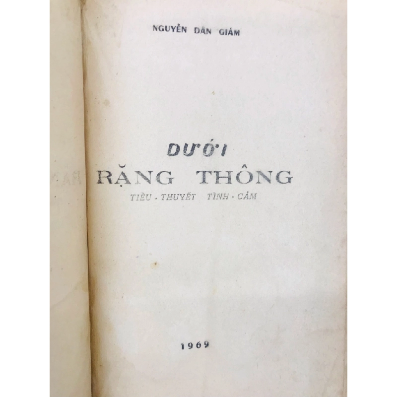 Dưới rặng thông - Nguyễn Dân Giám 125158