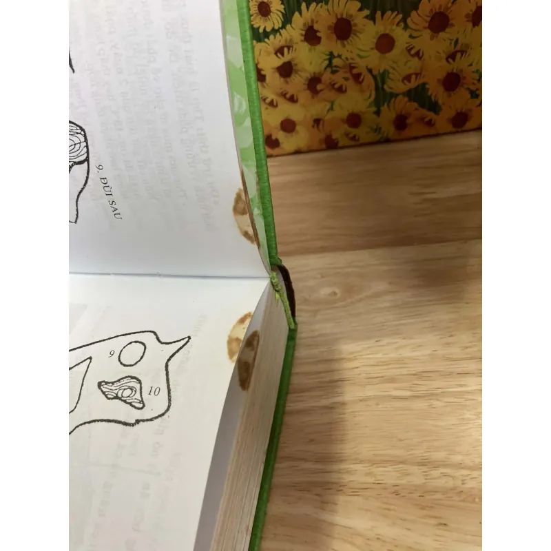 Thức Ăn Việt Nam - Triệu Thị Chơi 1003166