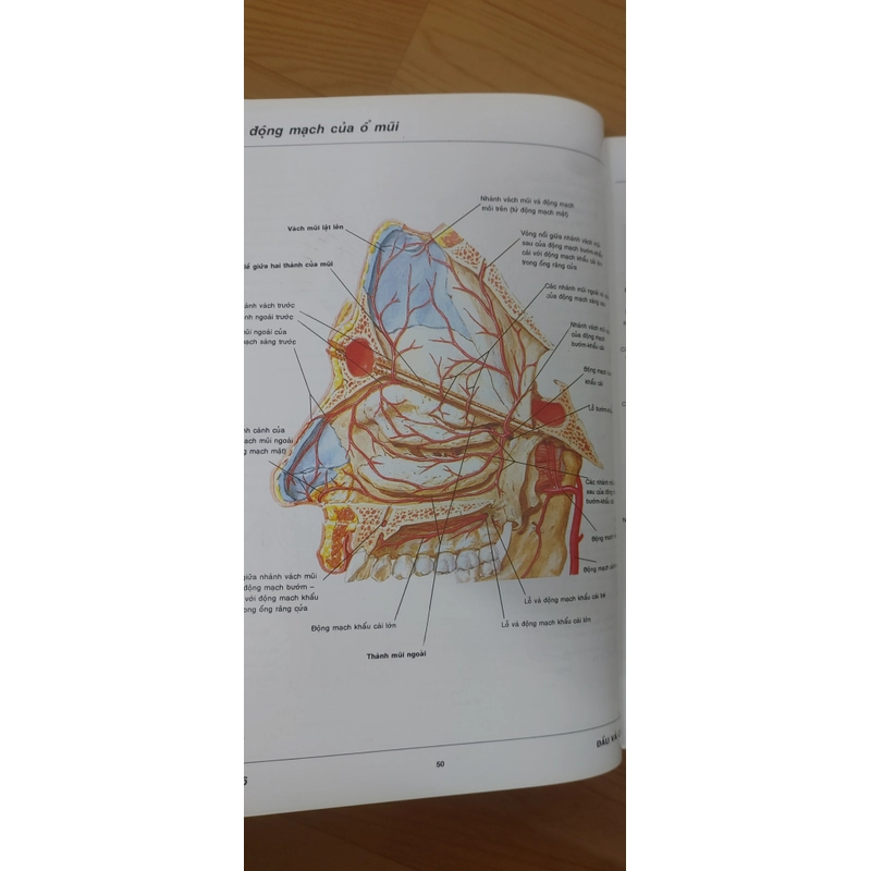 ATLAS GIẢI PHẪU NGƯỜI  541095