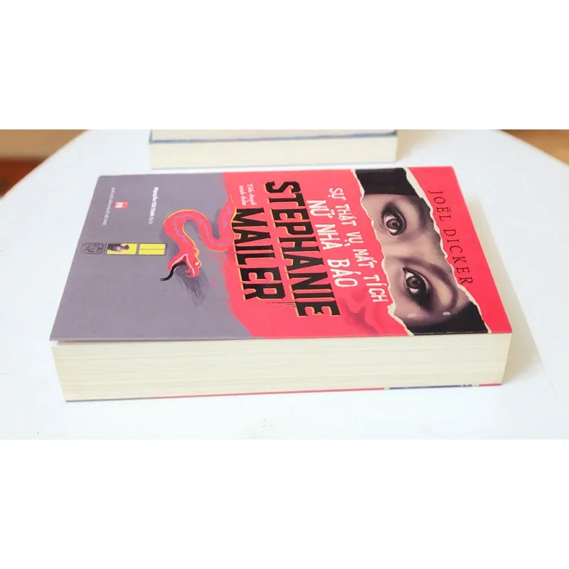 SỰ THẬT VỤ MẤT TÍCH NỮ NHÀ BÁO MẤT TÍCH STEPHANIE MAILER (Joel Dicker) 746968