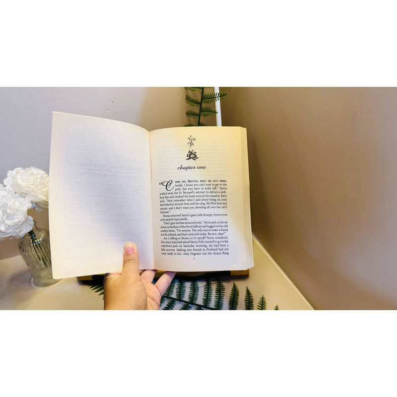 [Sách tiếng Anh 2hand] Like new 90% - Don't You Wish - Robin Jones Gunn 495478