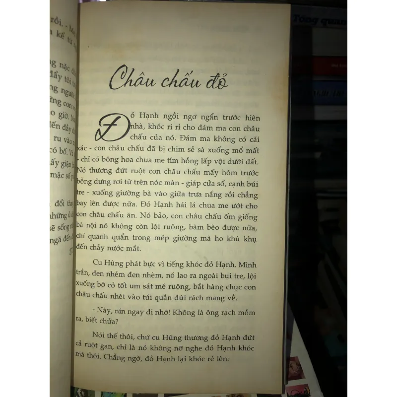 Căn nhà vẫn mở cửa - Vương Thị Bích Việt  933654