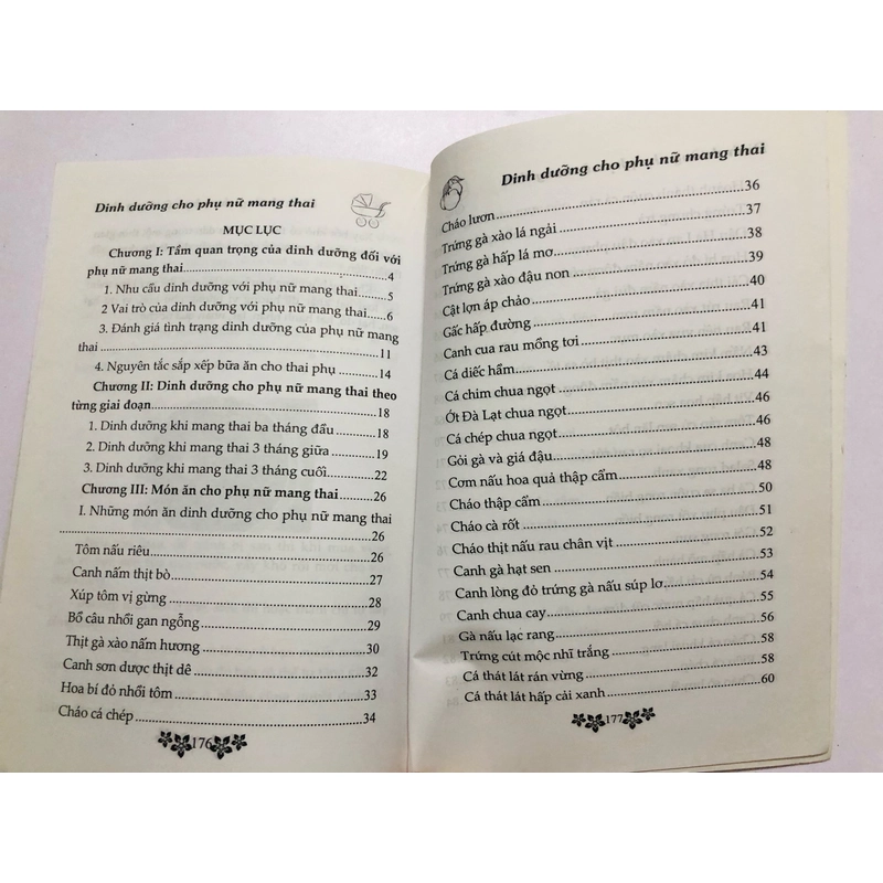 DINH DƯỠNG CHO PHỤ NỮ MANG THAI  - 184 trang, nxb: 2013 356216