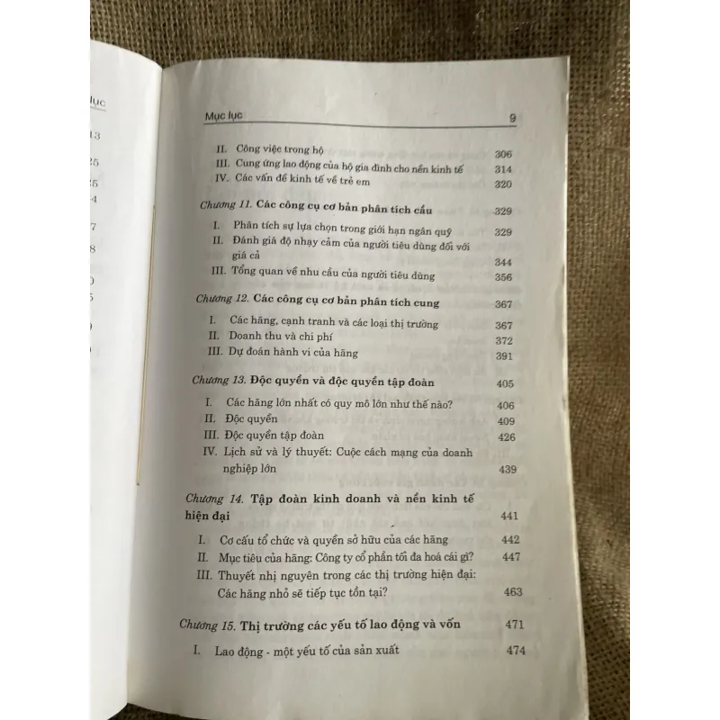 Kinh tế vĩ mô trong nền kinh tế chuyển đổi.- TS. Neva Goodwin và PGS.TS. Phạm Vũ Luận  960538