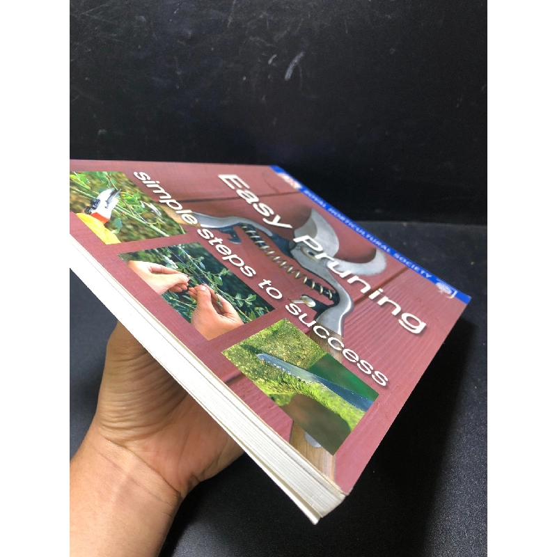 Easy pruning mới 80% bẩn nhẹ ố HCM1611 912493