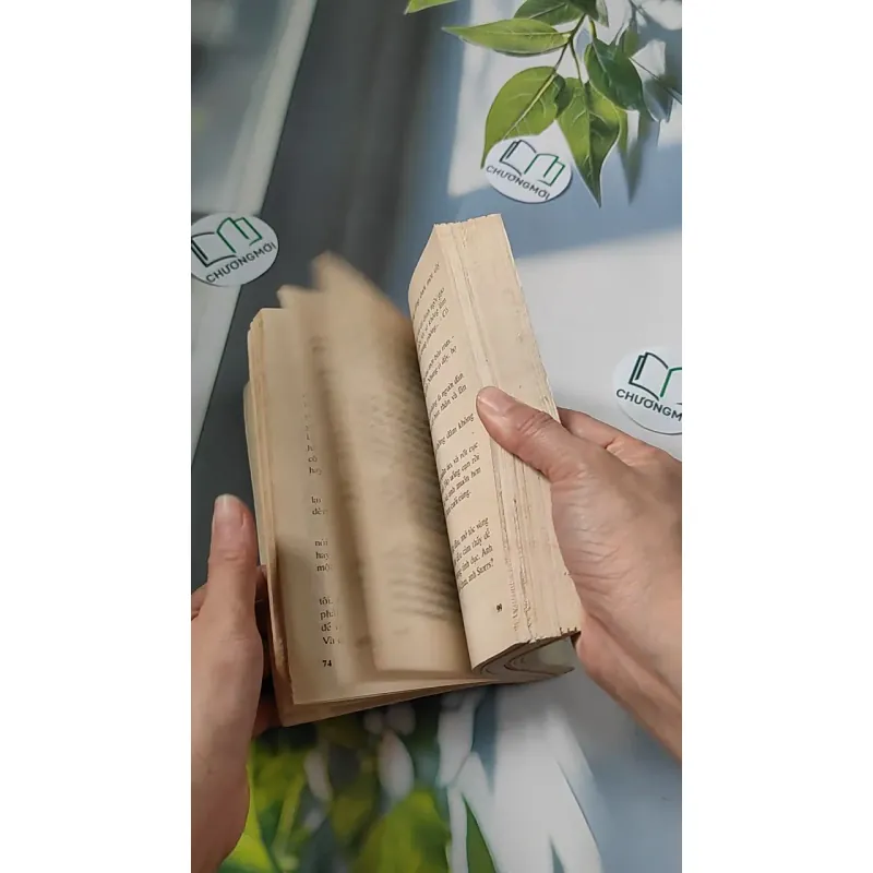 [XƯA] Đỉnh Đồi (1994) - Irwin Shaw 776066