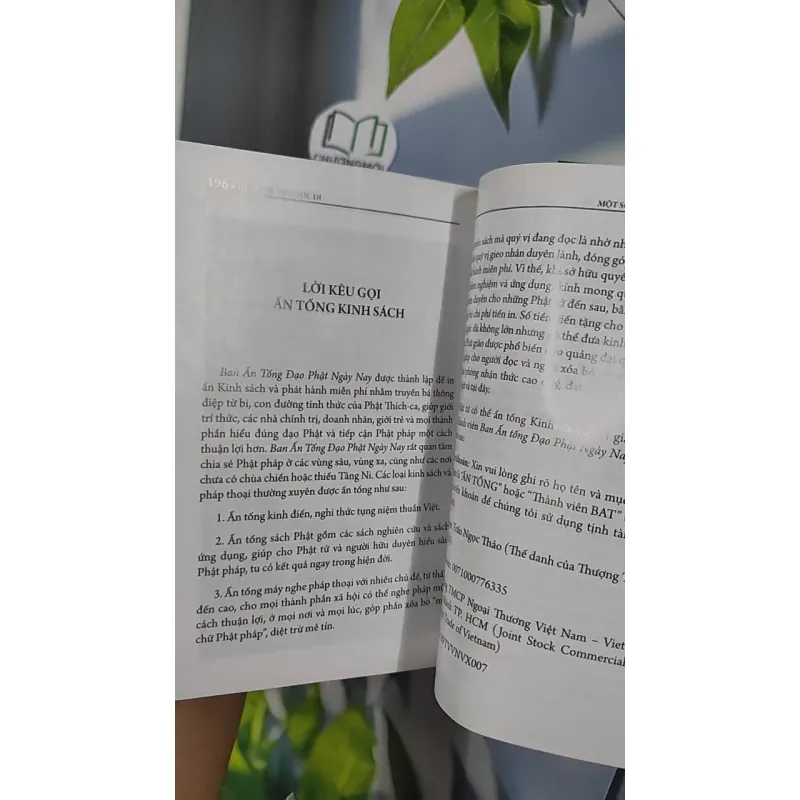 Đứng Dậy Và Bước Đi - Nguyễn Hướng Dương 798435