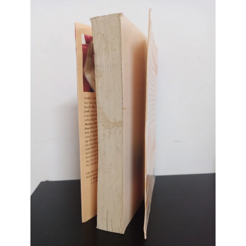 Tủ Sách Văn Học Anh - Câu Hỏi Tình Yêu (2010) - Isabel Wolff Mới 80% HCM.ASB2301 448413