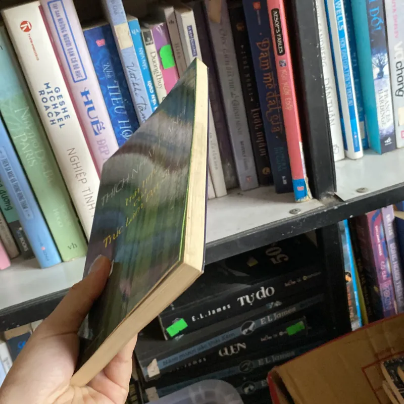 Trái tim của Trúc Lâm Đại Sư 755108