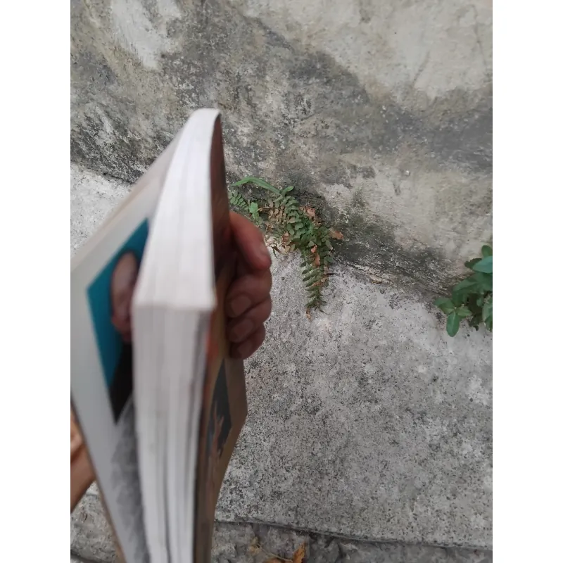 Nghệ thuật múa rối cổ truyền đất Thăng Long  1006701